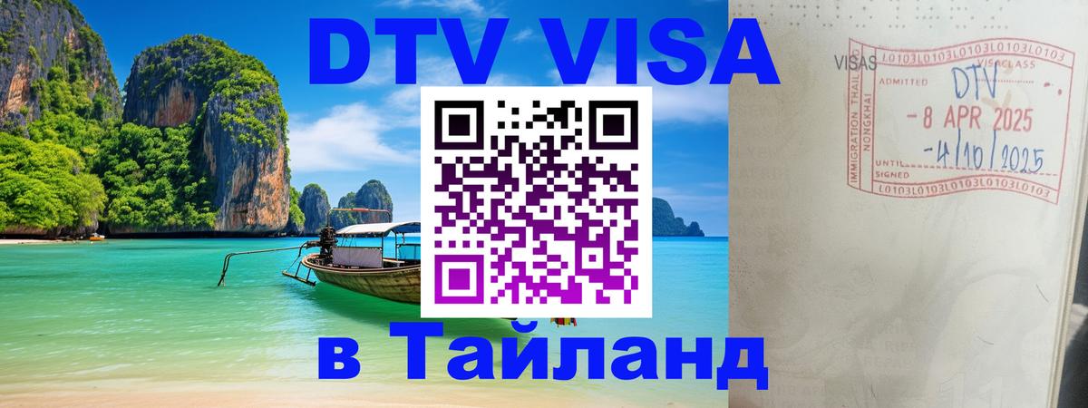 Оформление DTV визы под ключ: стоимость и тарифы, только загранпаспорт - 18.11.2025 